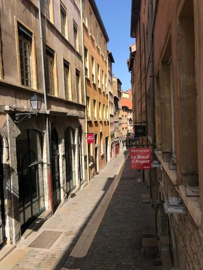Coeur Vieux Lyon Apartment